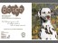 inPrint_8