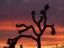 land_4