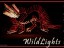 wildlights
