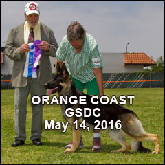 ocgsdc2016